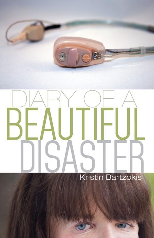Cover of the book Diary of a Beautiful Disaster by Kristin Bartzokis, KiCam Projects