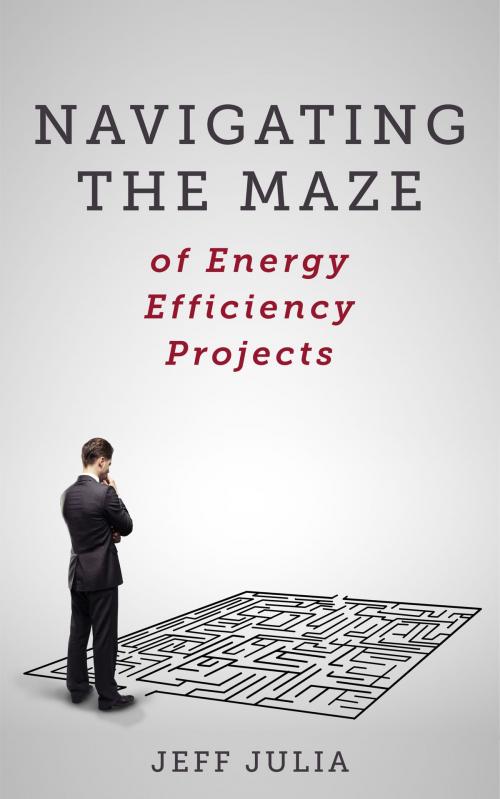 Cover of the book Navigating the Maze by Jeff Julia, Energy Project Advisors