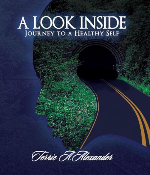 Cover of the book A Look Inside by Terrie A. Alexander, MEWE, LLC