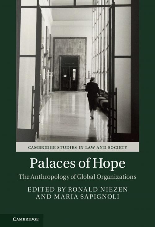Cover of the book Palaces of Hope by , Cambridge University Press