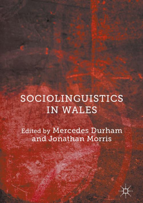 Cover of the book Sociolinguistics in Wales by , Palgrave Macmillan UK