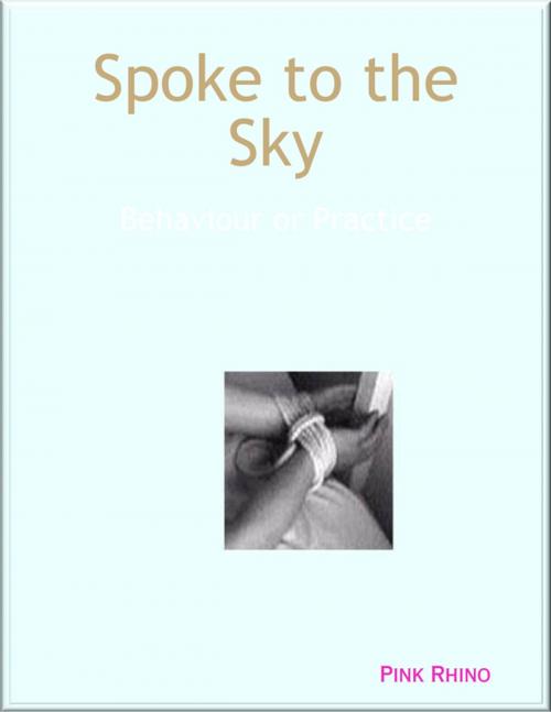 Cover of the book Spoke to the Sky: Behaviour or Practice by Pink Rhino, Lulu.com