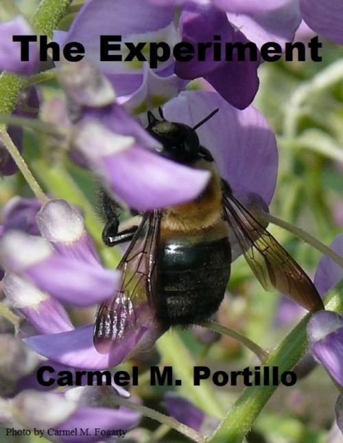 Cover of the book The Experiment by Carmel M. Portillo, Lulu.com