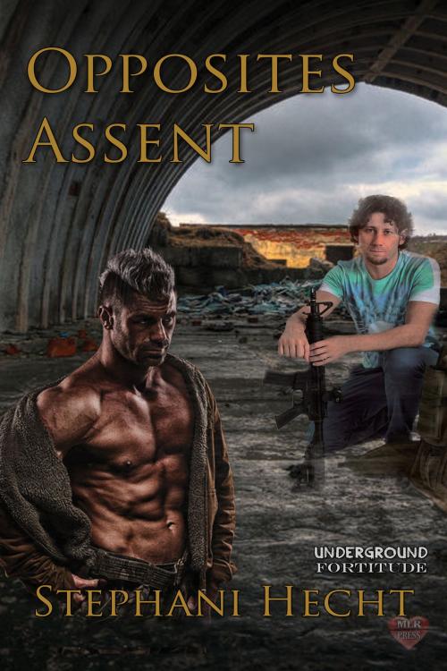 Cover of the book Opposites Assent by Stephani Hecht, MLR Press