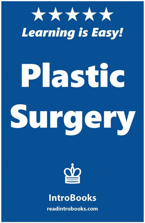 Cover of the book Plastic Surgery by IntroBooks, IntroBooks