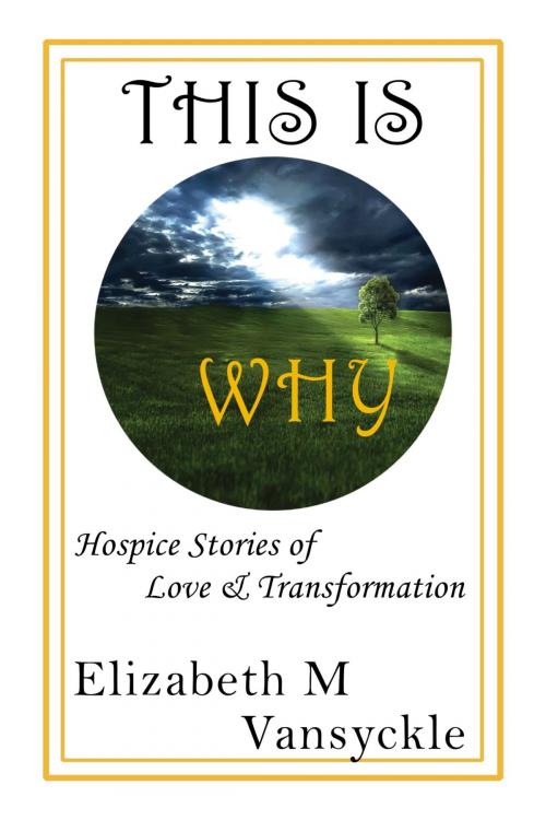 Cover of the book This Is Why by Elizabeth M Vansyckle, Elizabeth M Vansyckle