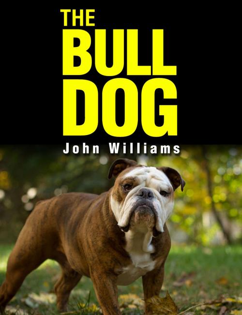 Cover of the book The Bulldog by John Williams, John Williams