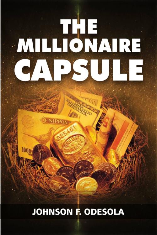 Cover of the book The Millionaire Capsule by Johnson F. Odesola, Johnson F. Odesola