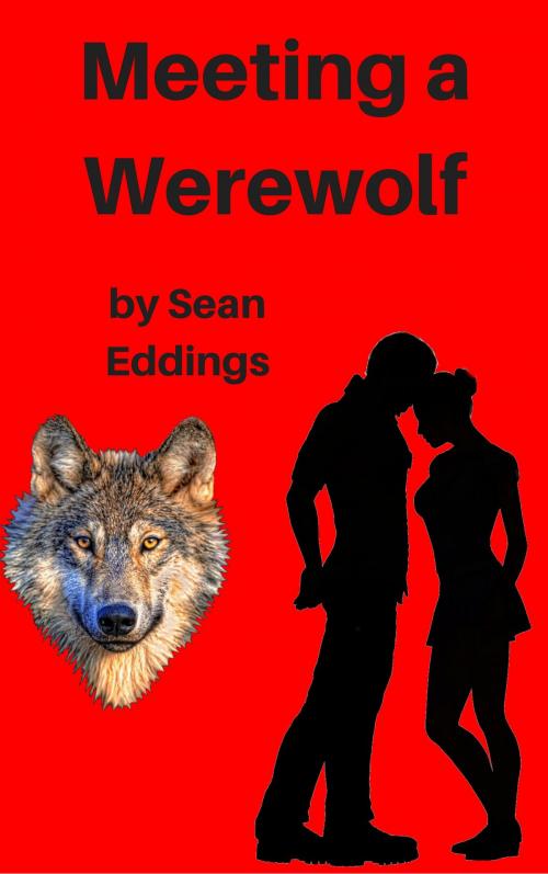 Cover of the book Meeting A Werewolf by Sean Eddings, Sean Eddings