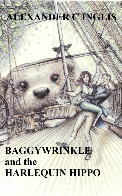Cover of the book Baggywrinkle and the Harlequin Hippo by Alexander C Inglis, Alexander C Inglis