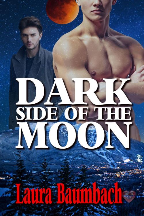 Cover of the book Dark Side of the Moon by Laura Baumbach, MLR Press