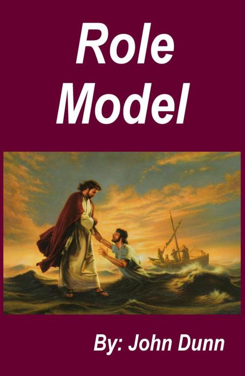 Cover of the book Role Model by John Dunn, F I Group, Inc.