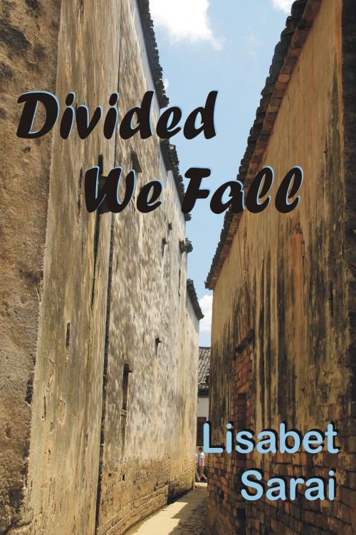 Cover of the book Divided We Fall by Lisabet Sarai, Lisabet Sarai