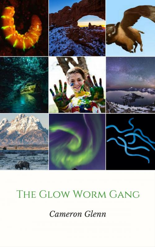 Cover of the book The Glow Worm Gang by Cameron Glenn, Cameron Glenn