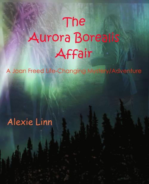 Cover of the book The Aurora Borealis Affair by Alexie Linn, Alexie Linn