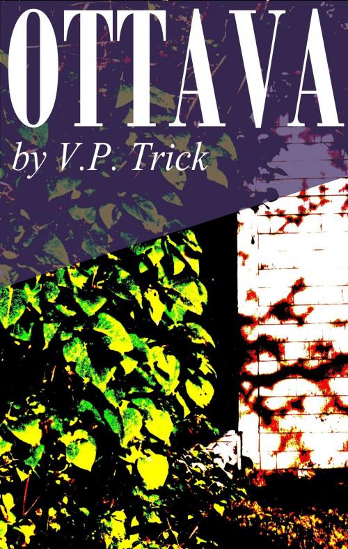 Cover of the book Ottava by V. P. Trick, V. P. Trick