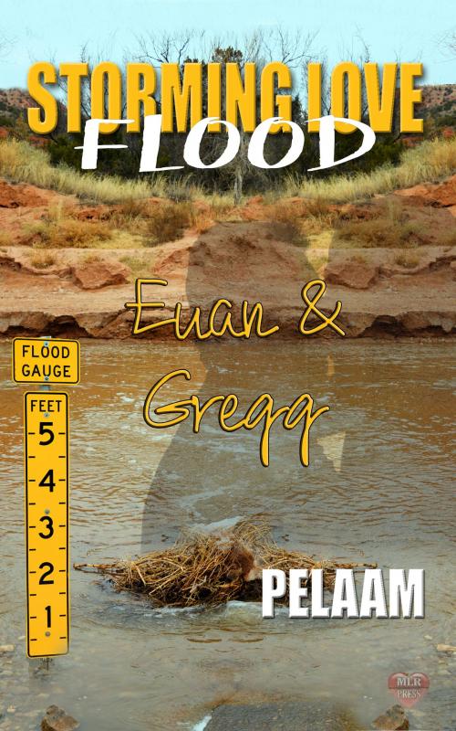 Cover of the book Euan & Gregg by Pelaam, MLR Press