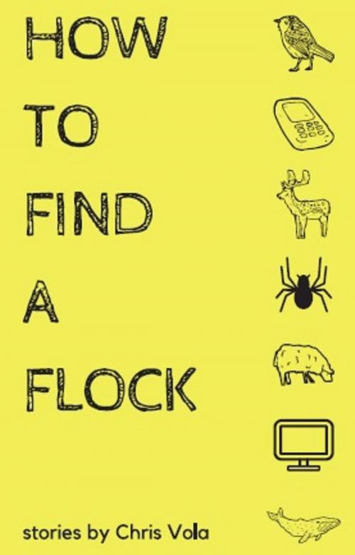 Cover of the book How to Find a Flock by Chris Vola, Unsolicited Press