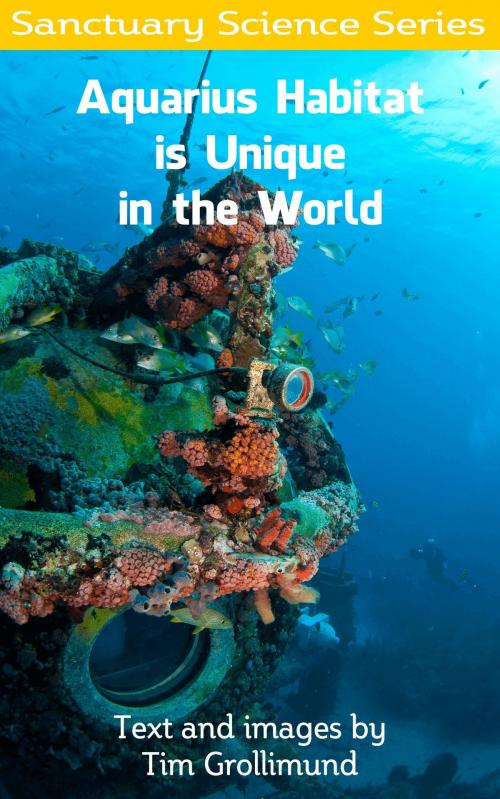 Cover of the book Aquarius Habitat is Unique in the World by Tim Grollimund, Tim Grollimund
