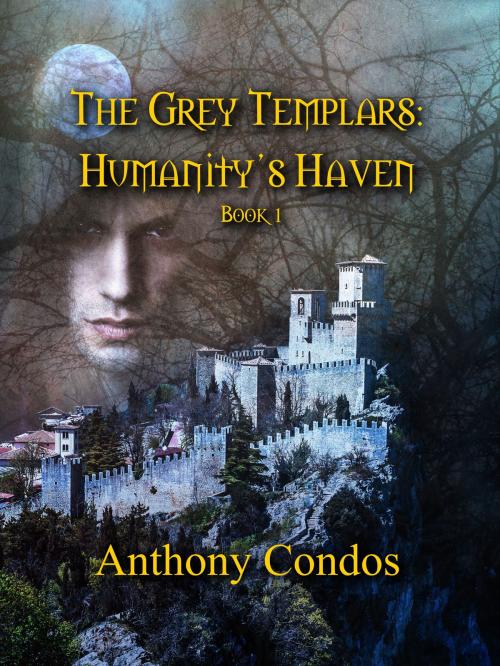 Cover of the book The Grey Templars: Humanity's Haven by Anthony Condos, Anthony Condos