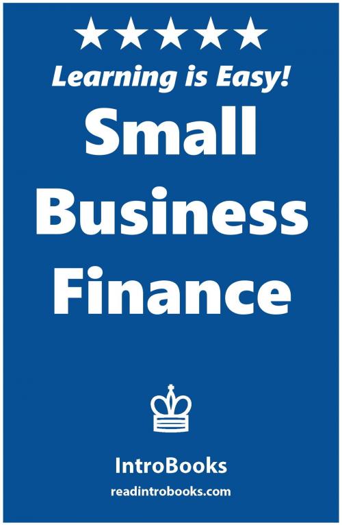 Cover of the book Small Business Finance by IntroBooks, IntroBooks