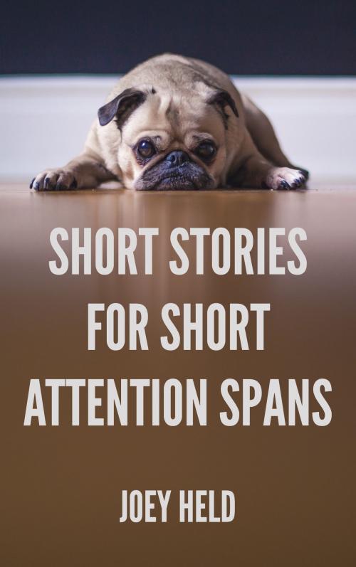 Cover of the book Short Stories for Short Attention Spans by Joey Held, Joey Held