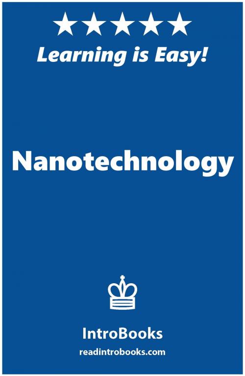 Cover of the book Nanotechnology by IntroBooks, IntroBooks