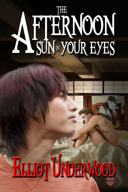 Cover of the book The Afternoon Sun in Your Eyes by Elliot Underwood, MLR Press