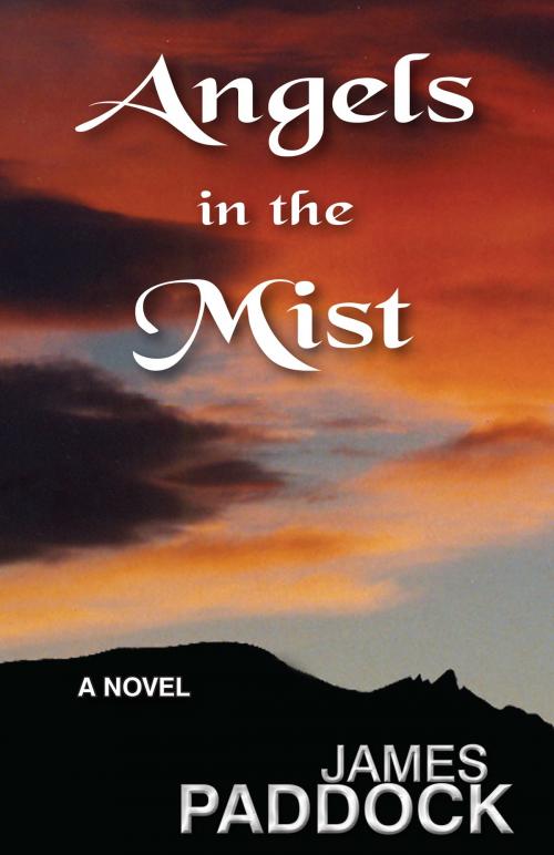 Cover of the book Angels in the Mist by James Paddock, James Paddock