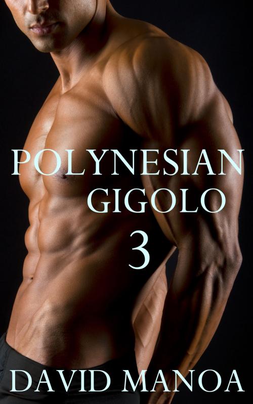 Cover of the book Polynesian Gigolo 3 by David Manoa, David Manoa