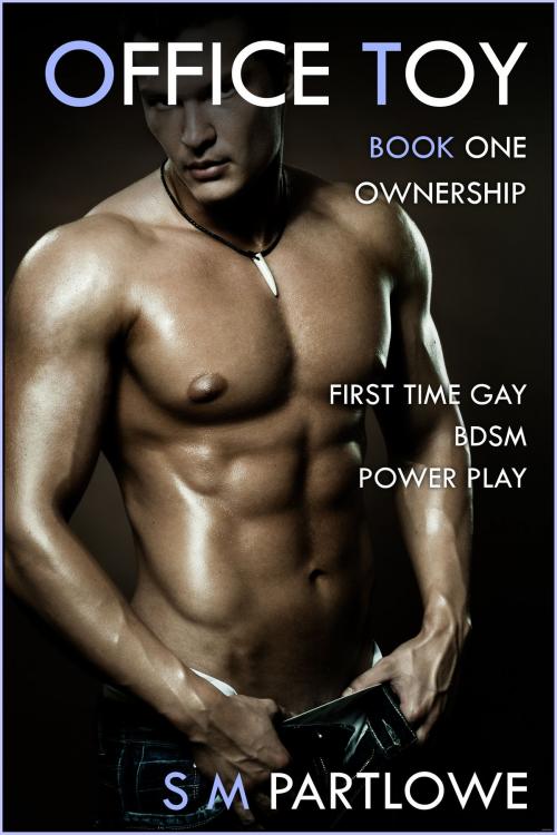 Cover of the book Office Toy - Ownership: First Time Gay BDSM Power Play (Series Book One) by S M Partlowe, S M Partlowe