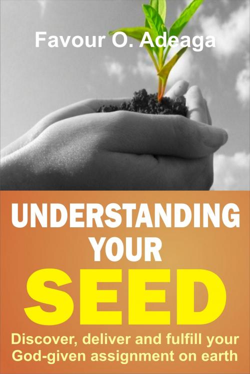 Cover of the book Understanding Your Seed by Favour O. Adeaga, Favour O. Adeaga