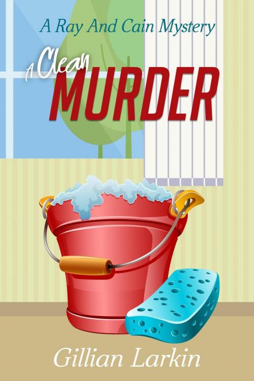 Cover of the book A Clean Murder by Gillian Larkin, Gillian Larkin