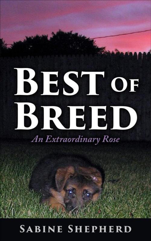Cover of the book Best of Breed an Extraordinary Rose by Sabine Shepherd, Sabine Shepherd