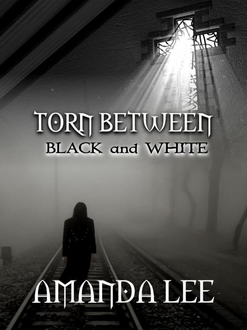Cover of the book Torn Between Black and White by Amanda Lee, Amanda Lee