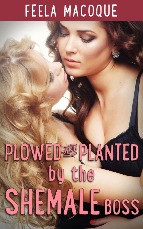 Cover of the book Plowed and Planted by the Shemale Boss by Feela Macoque, Feela Macoque