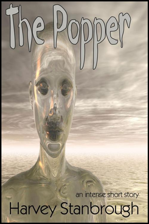 Cover of the book The Popper by Harvey Stanbrough, FrostProof808
