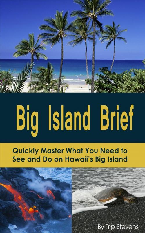 Cover of the book Big Island Brief : Quickly Master What You Need to See and Do on Hawaii's Big Island by Trip Stevens, Vacation Briefs
