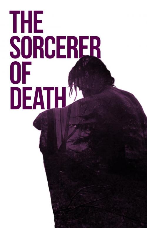 Cover of the book The Sorcerer of Death by Ana Maria Buliche, Ana Maria Buliche