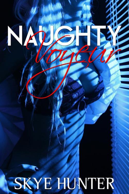 Cover of the book Naughty Voyeur by Skye Hunter, Skye Hunter
