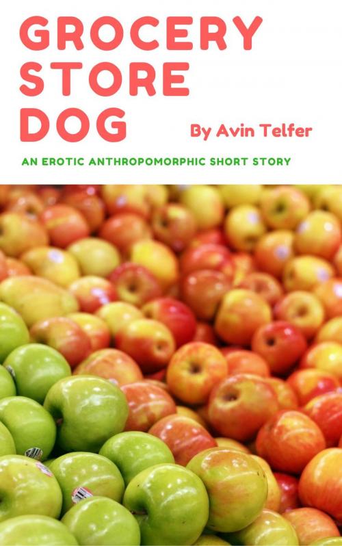 Cover of the book Grocery Store Dog by Avin Telfer, Avin Telfer