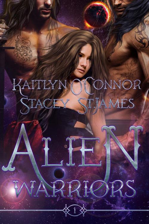 Cover of the book Alien Warriors by Kaitlyn O'Connor, Stacey St. James, New Concepts Publishing