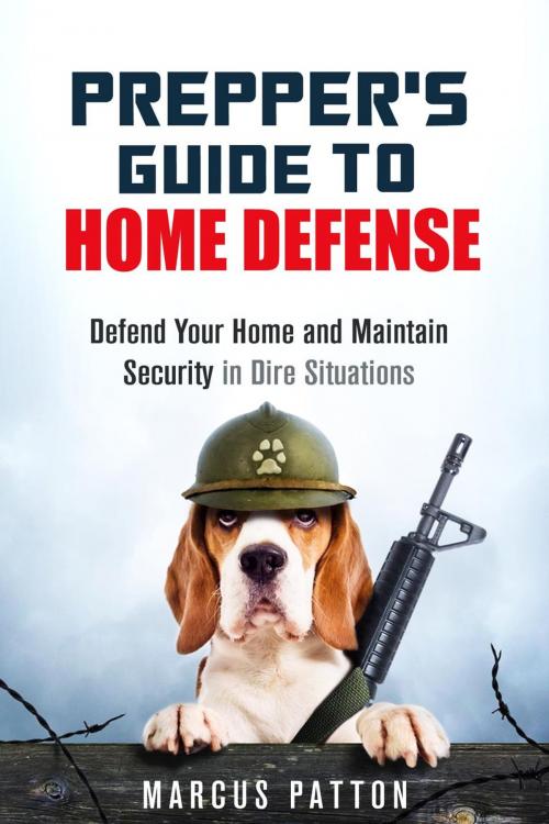 Cover of the book Prepper's Guide to Home Defense Defend Your Home and Maintain Security in Dire Situations by Marcus Patton, Guava Books