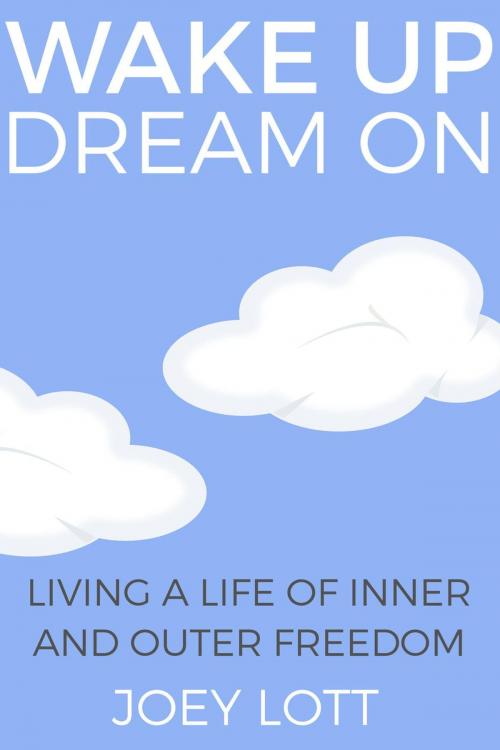 Cover of the book Wake Up Dream On by Joey Lott, Joey Lott