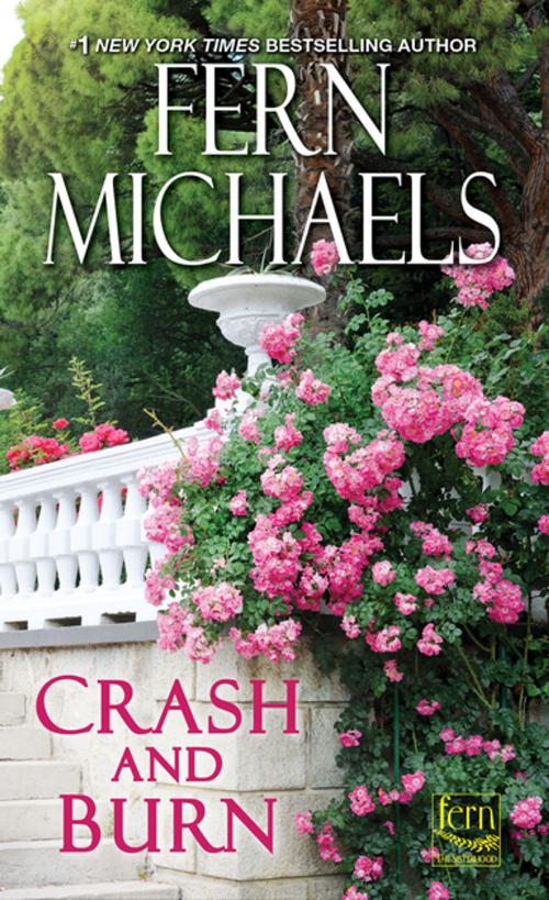 Cover of the book Crash and Burn by Fern Michaels, Zebra Books