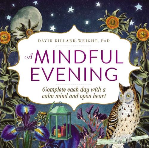 Cover of the book A Mindful Evening by David Dillard-Wright, Adams Media