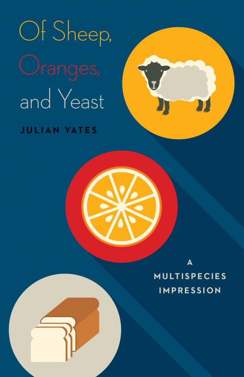 Cover of the book Of Sheep, Oranges, and Yeast by Julian Yates, University of Minnesota Press