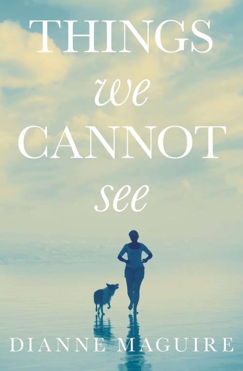 Cover of the book Things We Cannot See by Dianne Maguire, Impulse Australia