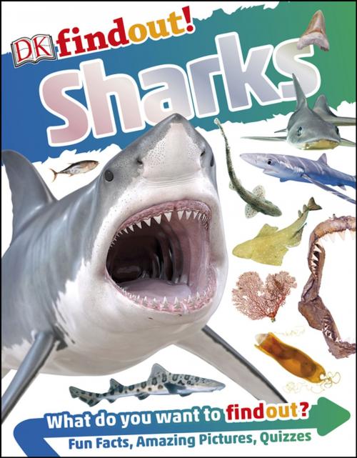 Cover of the book DKfindout! Sharks by DK, DK Publishing