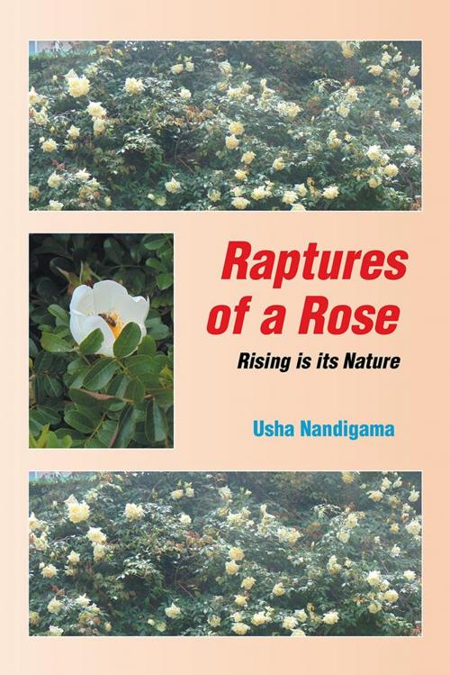 Cover of the book Raptures of a Rose by Usha Nandigama, Partridge Publishing India
